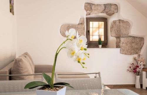 Apartment Ema-1 by Interhome - Foto 16