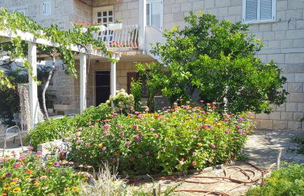 Apartment Tempera - Photo 16