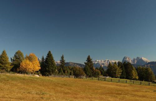 Residence Alpenrose - Foto 67