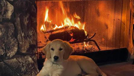 Pine Oaks Cabin - Foto 2