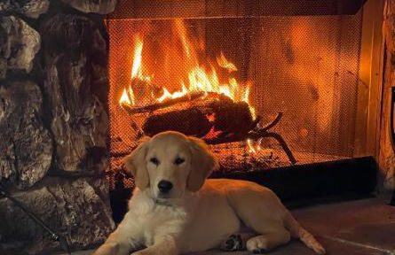 Pine Oaks Cabin - Foto 2