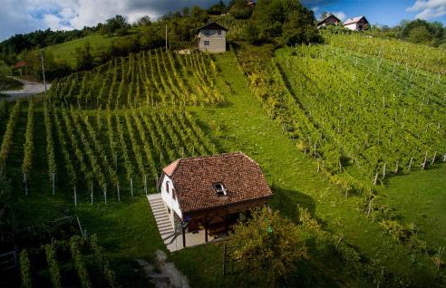 Cozy Home In Vrhi Vinagorski - Foto 13