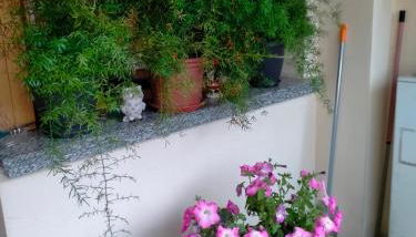 Alloggio Livia - Photo 4