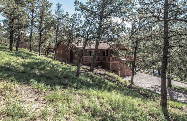 Jack Little - Foto 24