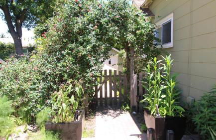 Cottage On Cambridge - Foto 2