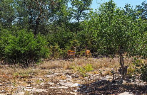 Cozy Kerrville Guest Cottage Near Guadalupe River! - Foto 2