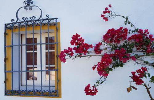 Quinta de Evoramonte - Foto 7