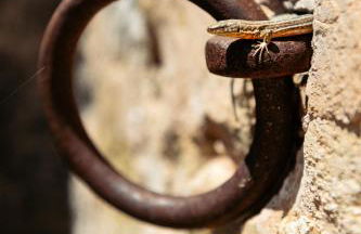 Hotel Rural Can Partit Adults Only-Ibiza - Foto 63