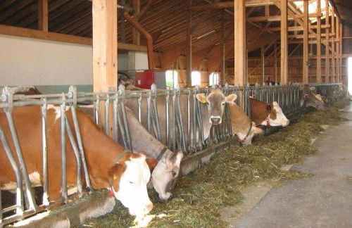 Apartment in the Allgau With View of the Bavarian Alps - Photo 82