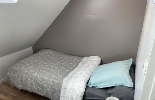 Maison Le grand sapin , 5min du zoo parc de Beauval - Foto 37