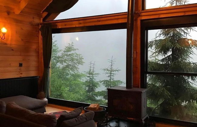 Ayder Dag Evi - Foto 29