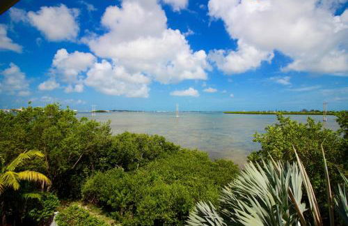 Mother Ocean - Foto 48