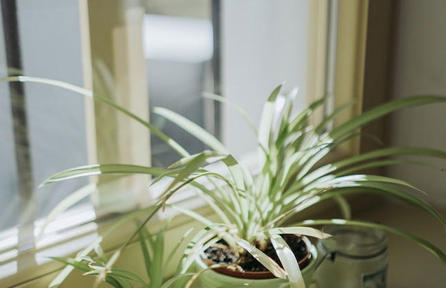 Apartments Mozinetova hisa - Foto 43