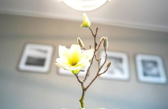 Glückshälfte - Moderne Haushälfte mit XXL-Parkplatz, Bike-Storage & Garten nahe Trier - Foto 16