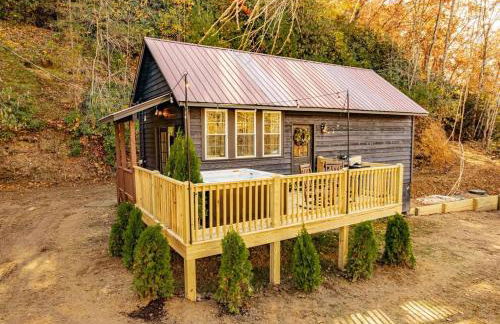 Little Blue in the Smoky Mountains - Foto 13