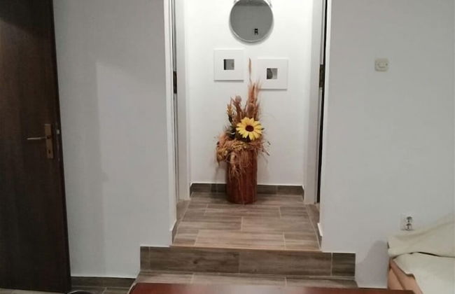 Eli - for Nature Lovers - A1 - Foto 13