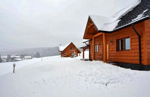 Bieszczadzkie Dworki - Foto 65