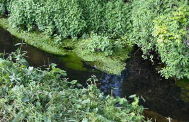 Totally Private, idyllic House with hot tub in an acre of private gardens - Foto 69