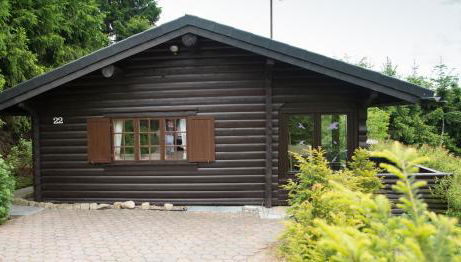 Schwedenhaus Uplandalm Willingen - Foto 1