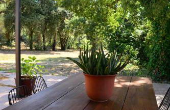 Mas Salvador Rural Experience - Photo 68