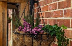 New traditional village house - Foto 6