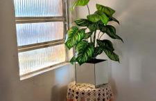 Chalé Aconchego de Canela - Photo 33