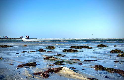 Fördekoje - Foto 31