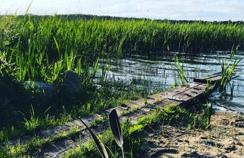 Polne domki na Mazurach - Foto 13