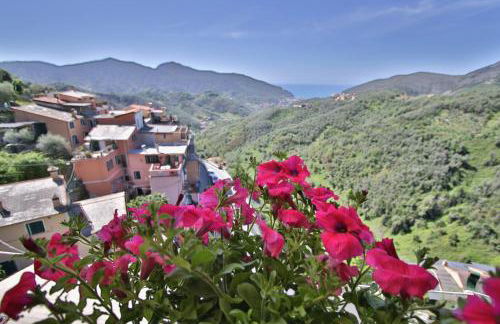 Mamaamelia - Foto 31