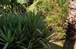 La Casita de la Vega - Foto 57