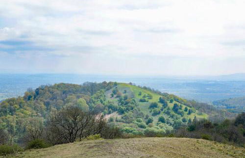 Little Hollows Glamping - Foto 61