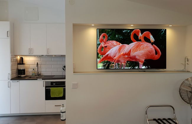 PAX Apartments - Photo 8