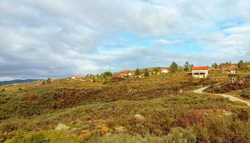 Quinta da Estrela - Foto 3, Garden, Garden view