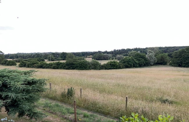 Cherry Tree Cottage - Foto 36