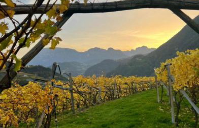 New Opening Vinea Guesthouse - Foto 15