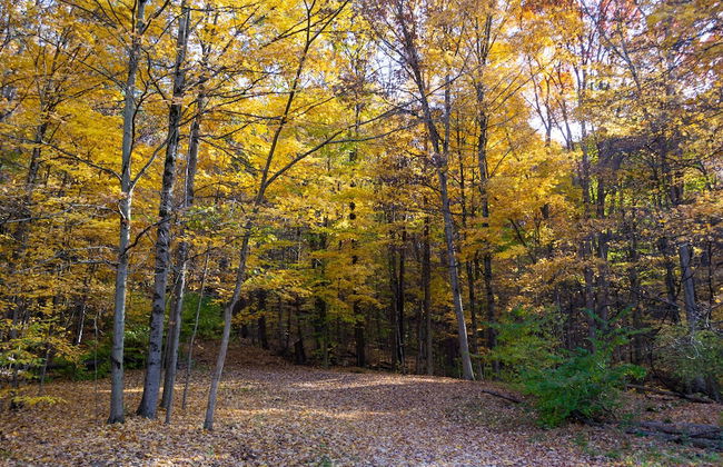 Valley Overlook - Foto 21