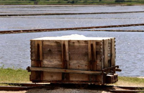 Guest House Roses - Photo 38