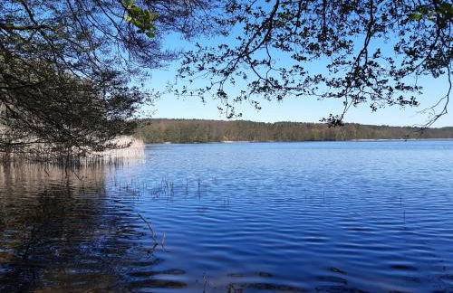 Kulturfreizeiten Ferienwohnungen - Photo 50
