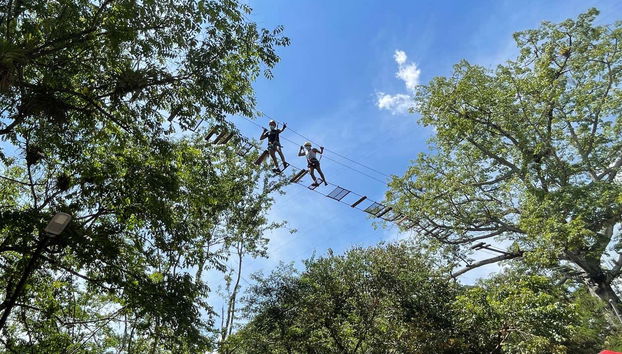 Zip-line, Suspension Bridge + Abseiling in Útica - Foto 4