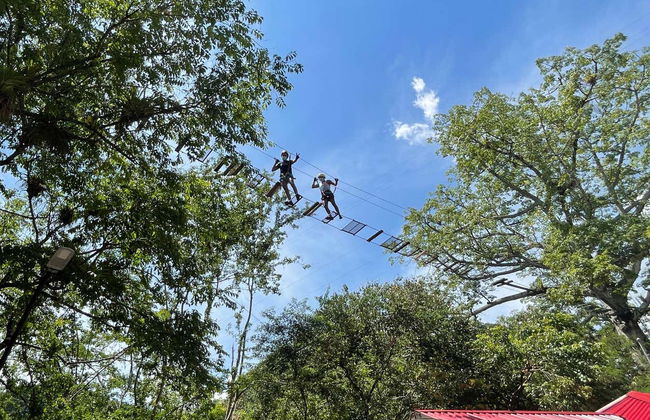 Zip-line, Suspension Bridge + Abseiling in Útica - Photo 4