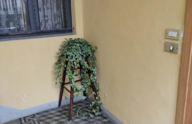 Appartamento in centro Tollegno - Foto 10