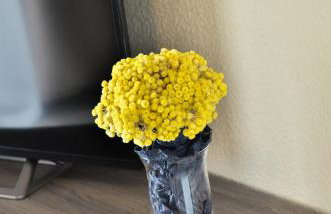 Apartmani Perić 1 Meka Draga - Foto 11