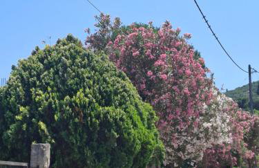 Casa Vrioni - Foto 50