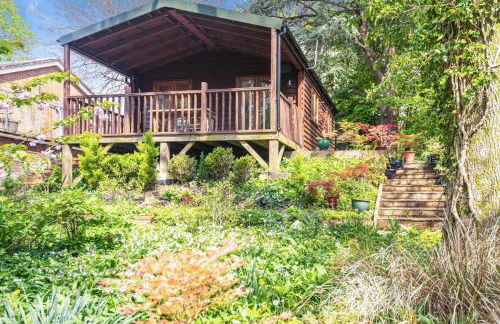 1 Bed in Milton Abbas oc-w32019 - Photo 14