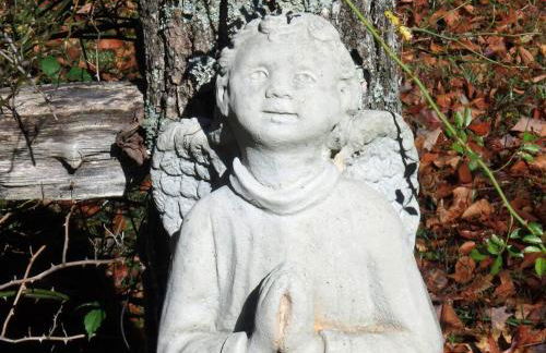 Nantahala Spiritual Retreat - Remote and Peaceful! - Foto 54