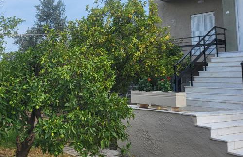 Marys Home Eretria - Photo 6