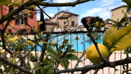 Appartement Dolce Farniente Corse Lozari - Foto 1