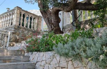 Apartmani Anda - Photo 6