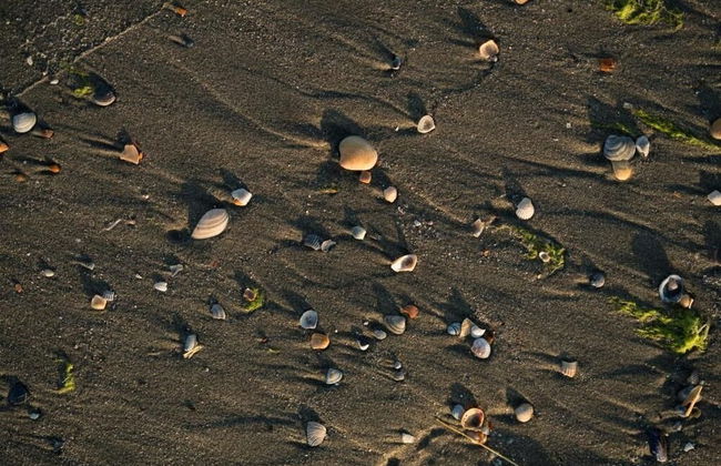 RIVA Mamaia Aparthotel - Photo 77