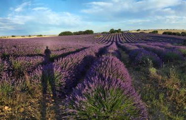 Casa Rural El Edén del Ungría - Foto 22